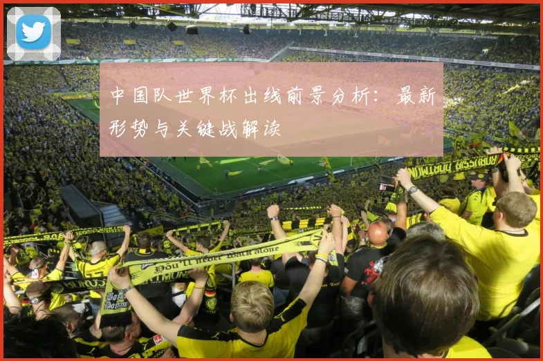 中国队世界杯出线前景分析：最新形势与关键战解读